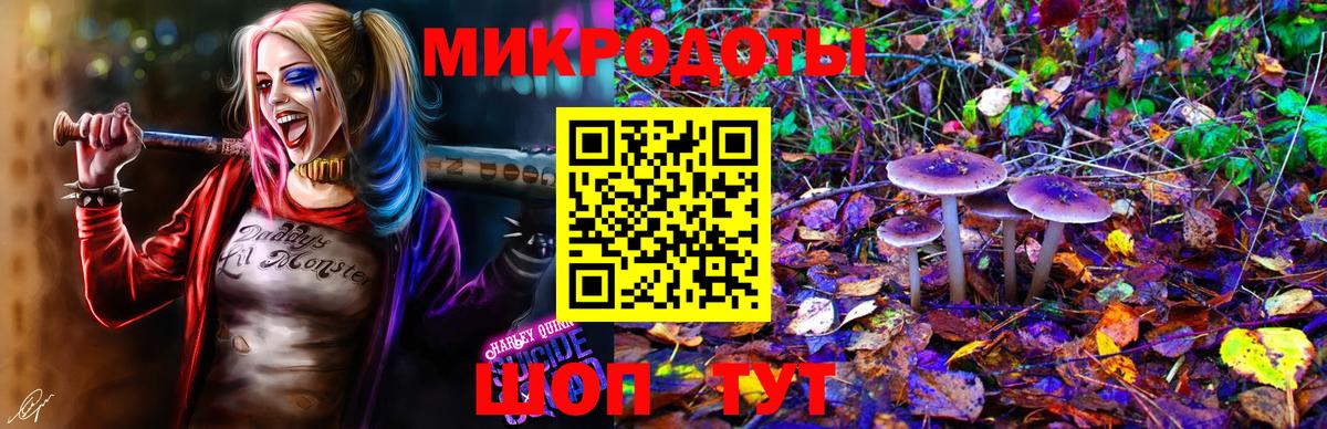 Воскресенск  Галлюциногенные грибы прущие грибы  Вход с VPN 